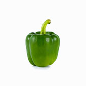 Capsicum