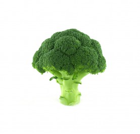 Broccoli Organic Bunch