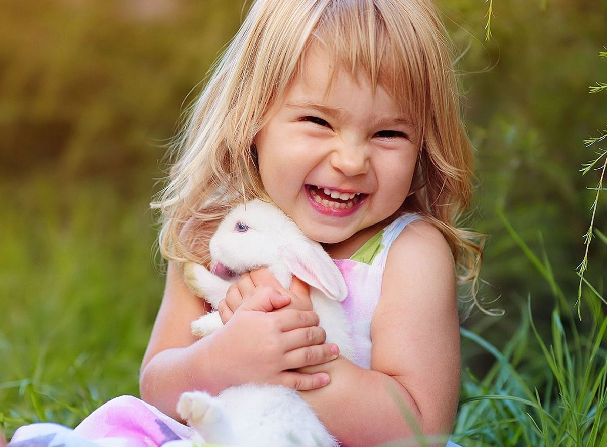 Nullam ullamcorper nisl quis