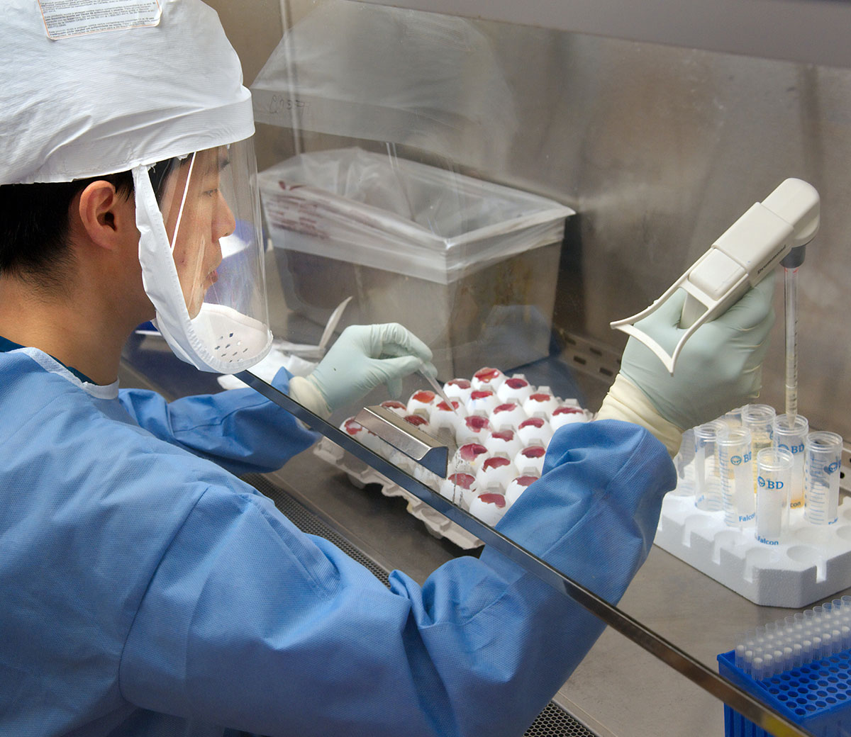 Morbi condimentum molestie