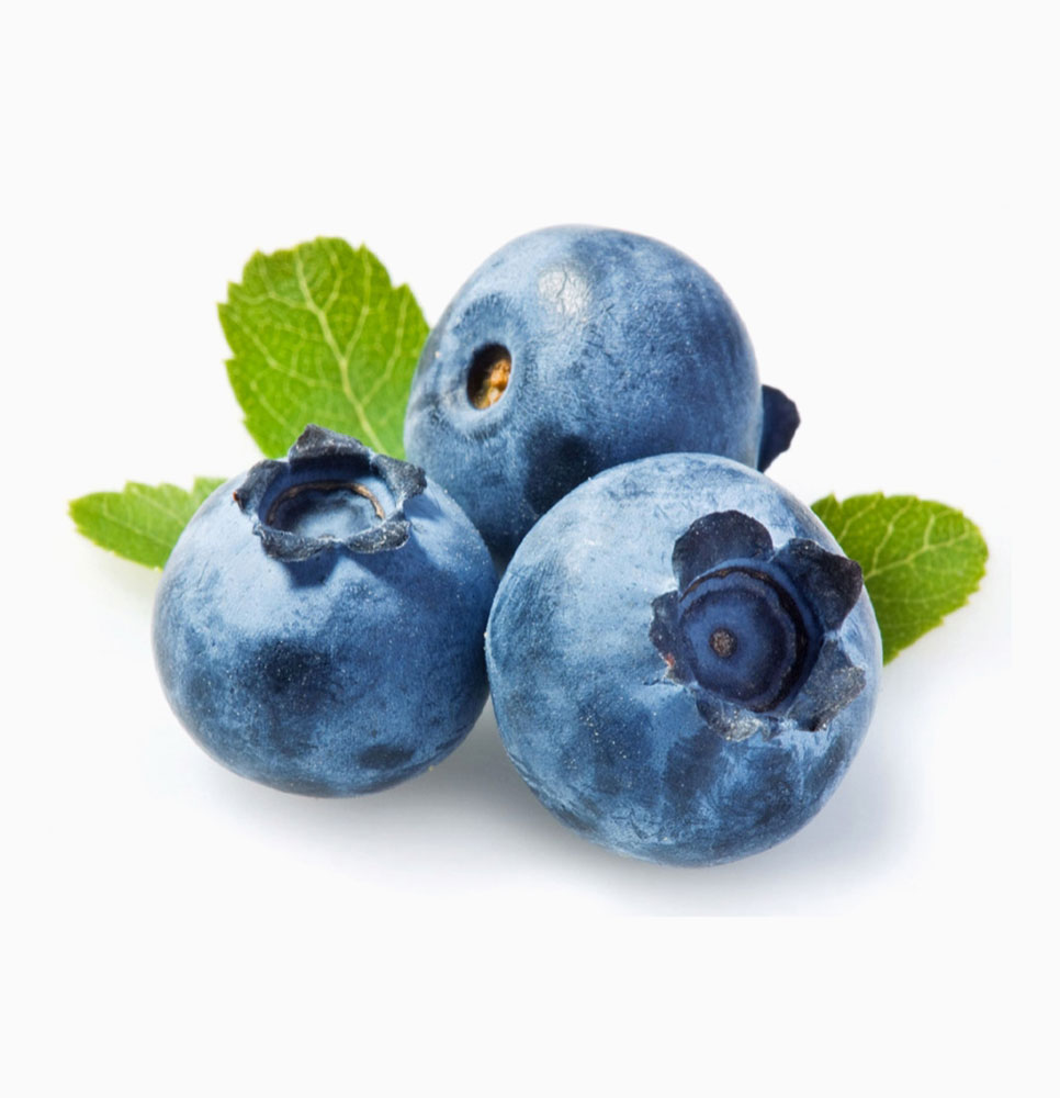 Черника Blueberry