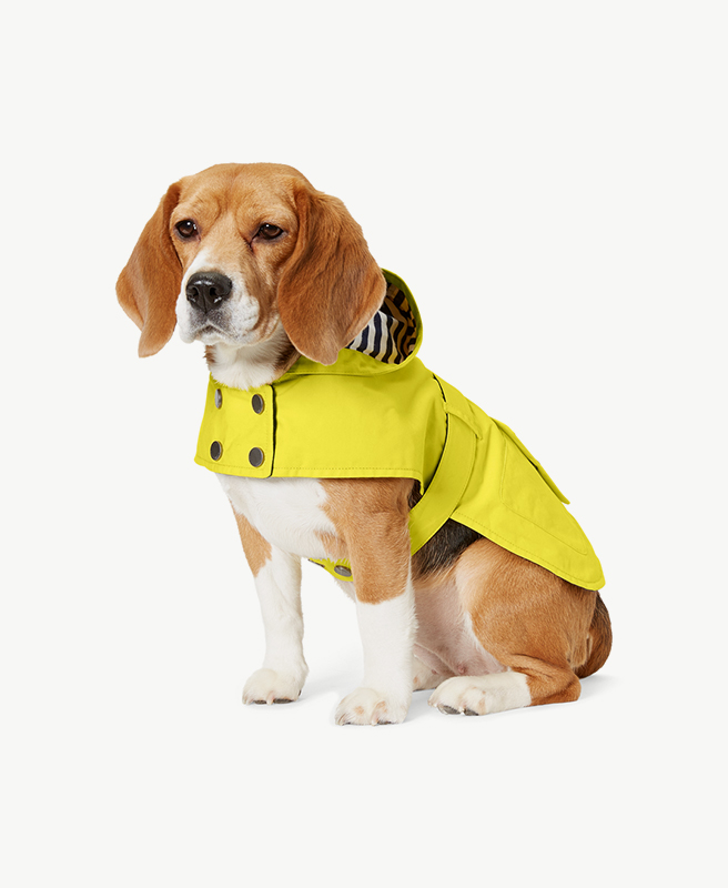 Hooded Dog Raincoat